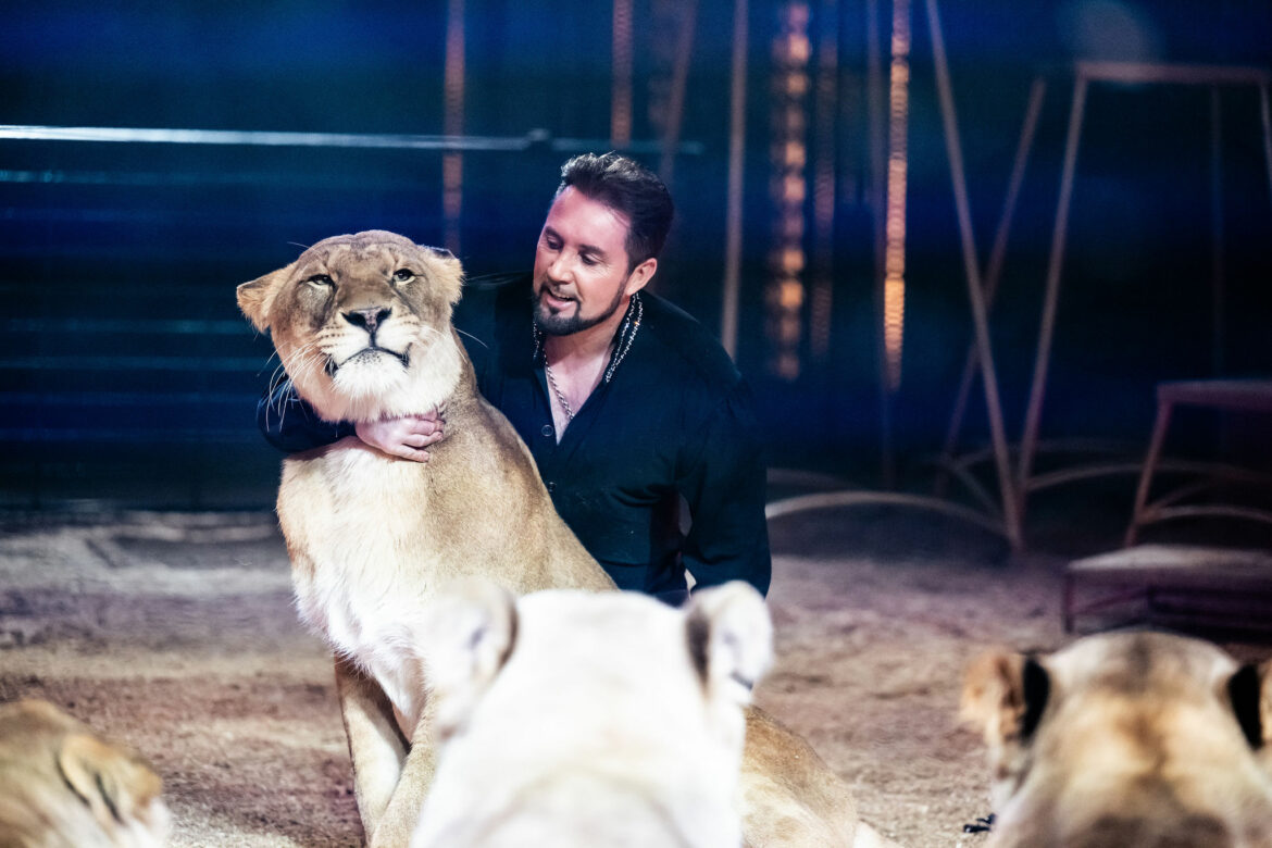 Un “grand félin” d’acier entre en piste