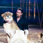 BOBCAT Un “grand félin” d’acier entre en piste