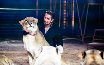 BOBCAT Un “grand félin” d’acier entre en piste