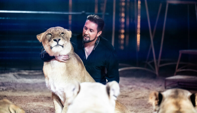 BOBCAT Un “grand félin” d’acier entre en piste